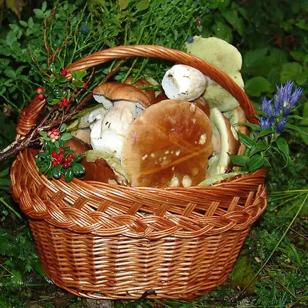 Zatrnik 아파트 블레드