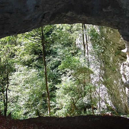 Zatrnik Apartment Bled