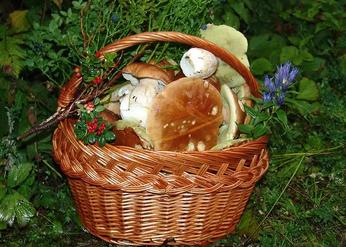 Zatrnik Apartment Bled