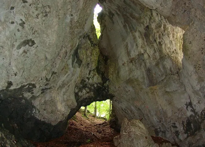 アパート Zatrnik